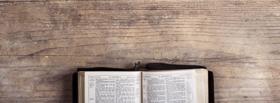 Open bible on a piece of driftwood